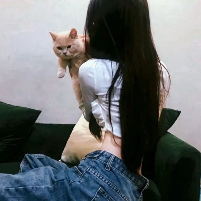 飙速青春